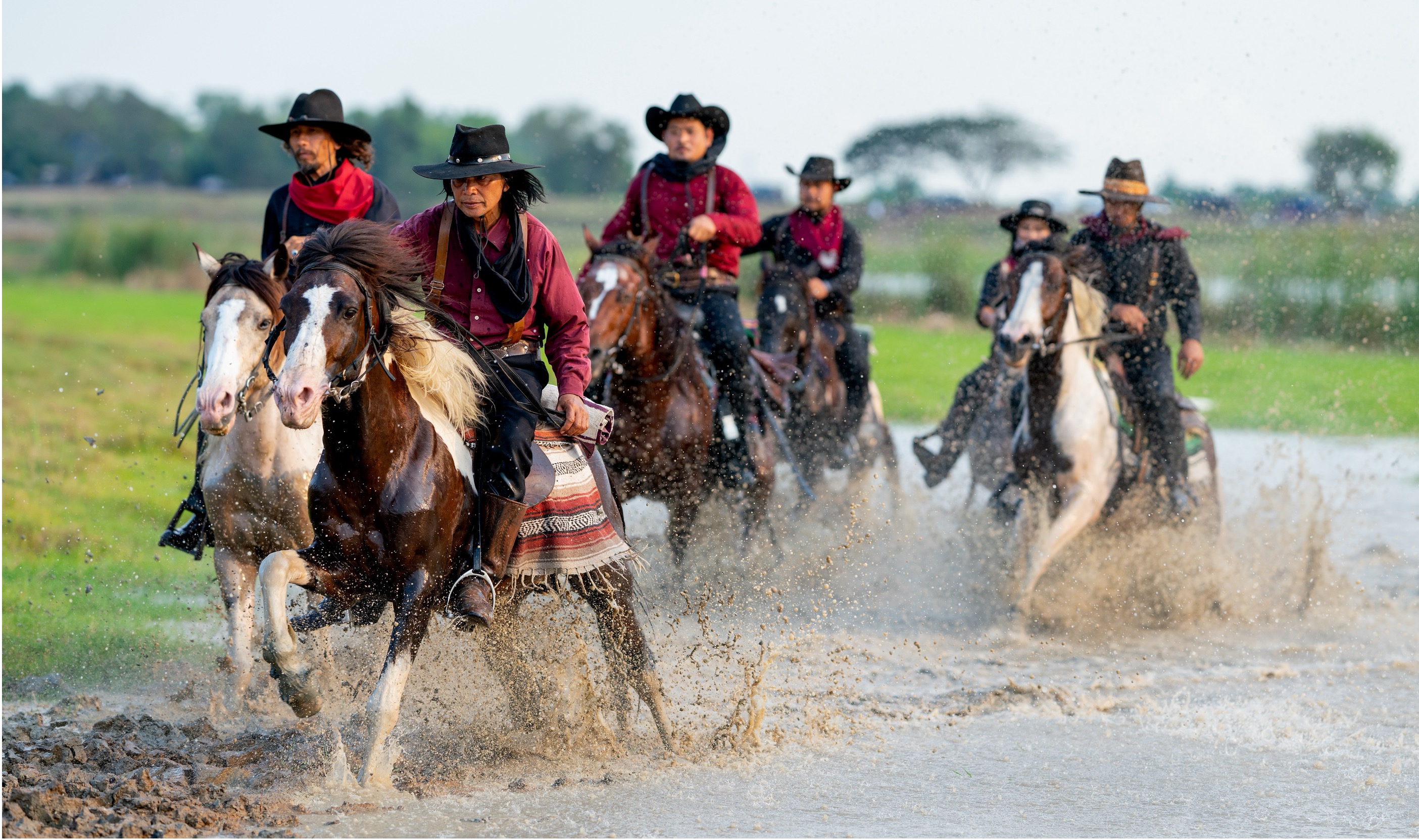 Mengenal 5 Ras Kuda Terbaik untuk Pacuan, dari Thoroughbred hingga Quarter Horse